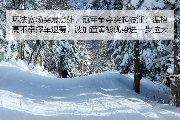 huan-fa-sai-chang-tu-fa-yi-wai-guan-jun-zheng-duo-tu-qi-bo-lan-wen-ge-gao-bu-xing-shuai-che-tui-sai-bo-jia-cha-huang-2-160.jpg